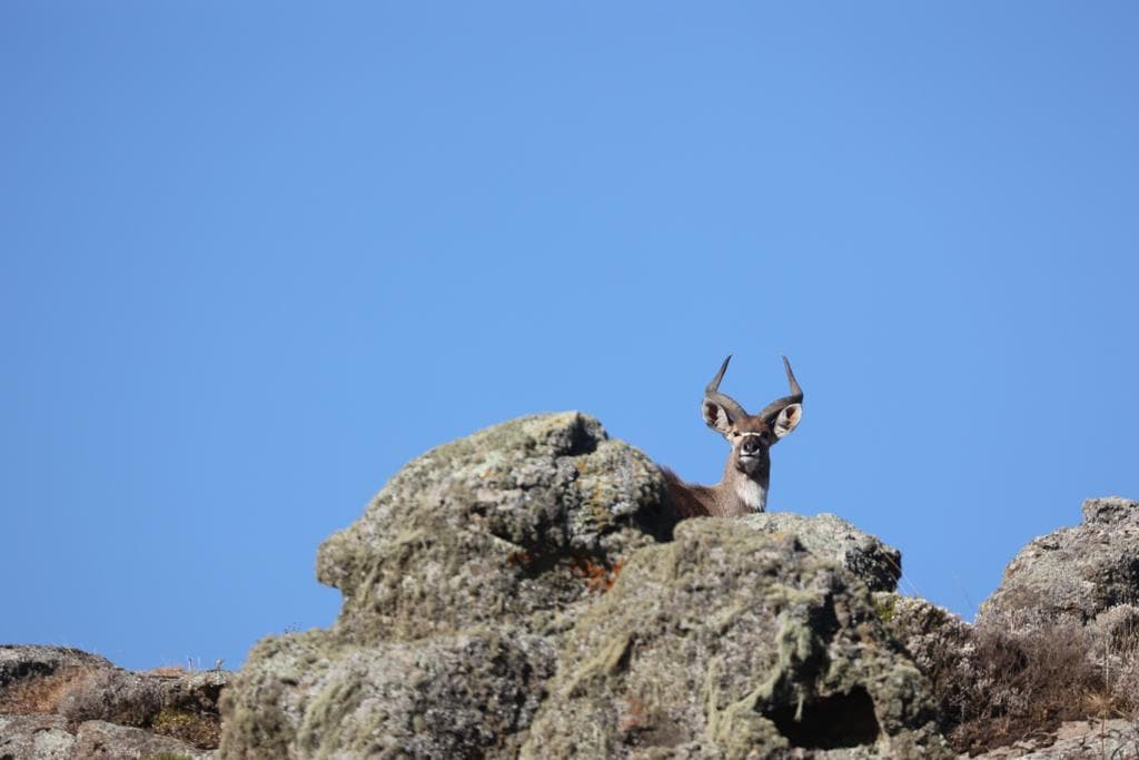 What to film in Ethiopia